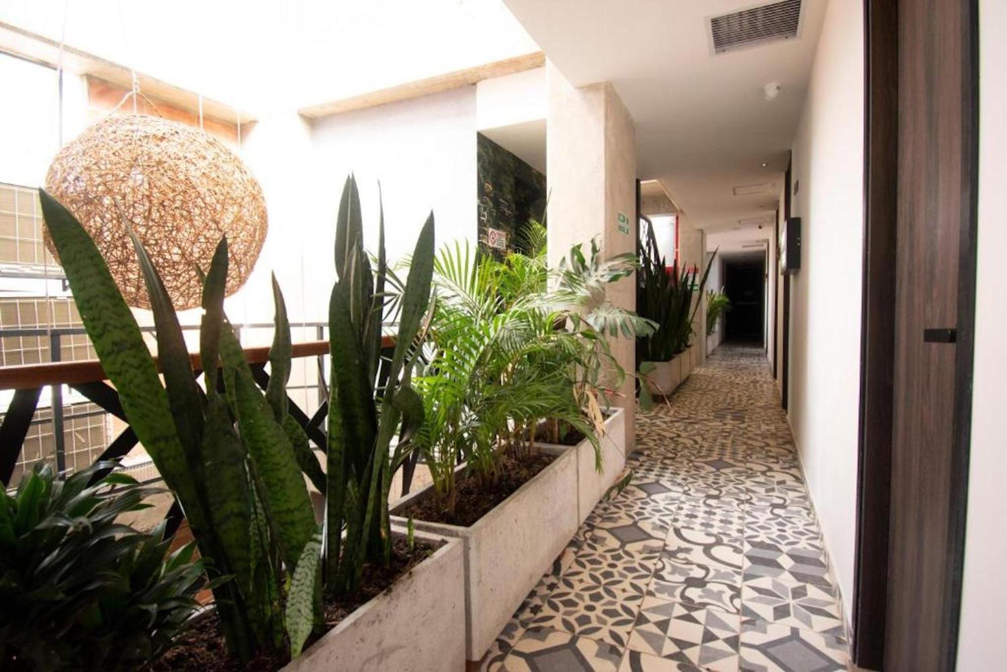 Apartahotel Medellín Eksteriør billede